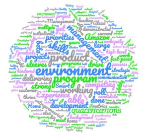 Word Cloud image for most frequent words in Amazon Program Manager job description
