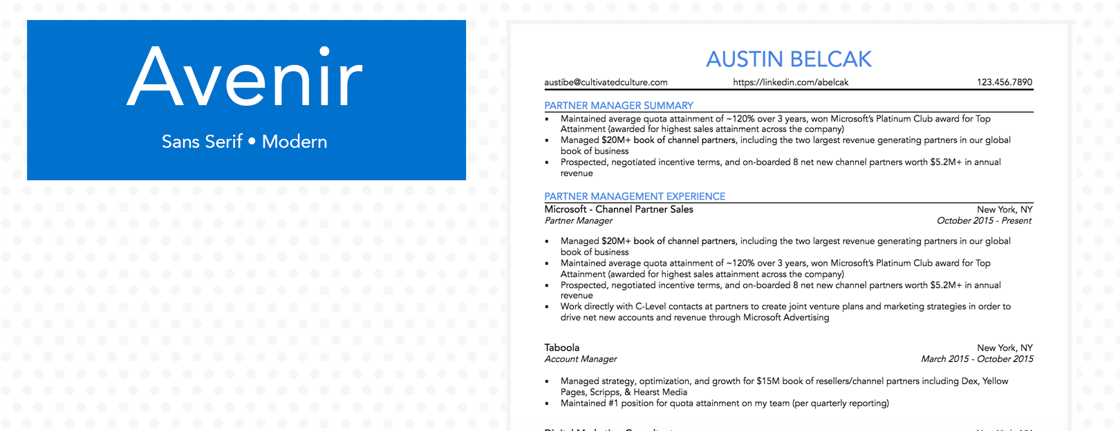 Example of Avenir Font For Resume