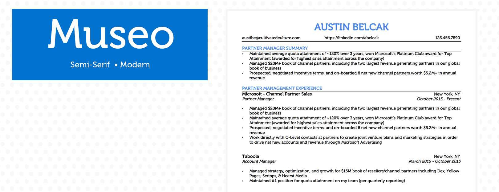 Example of Museo Font For Resume