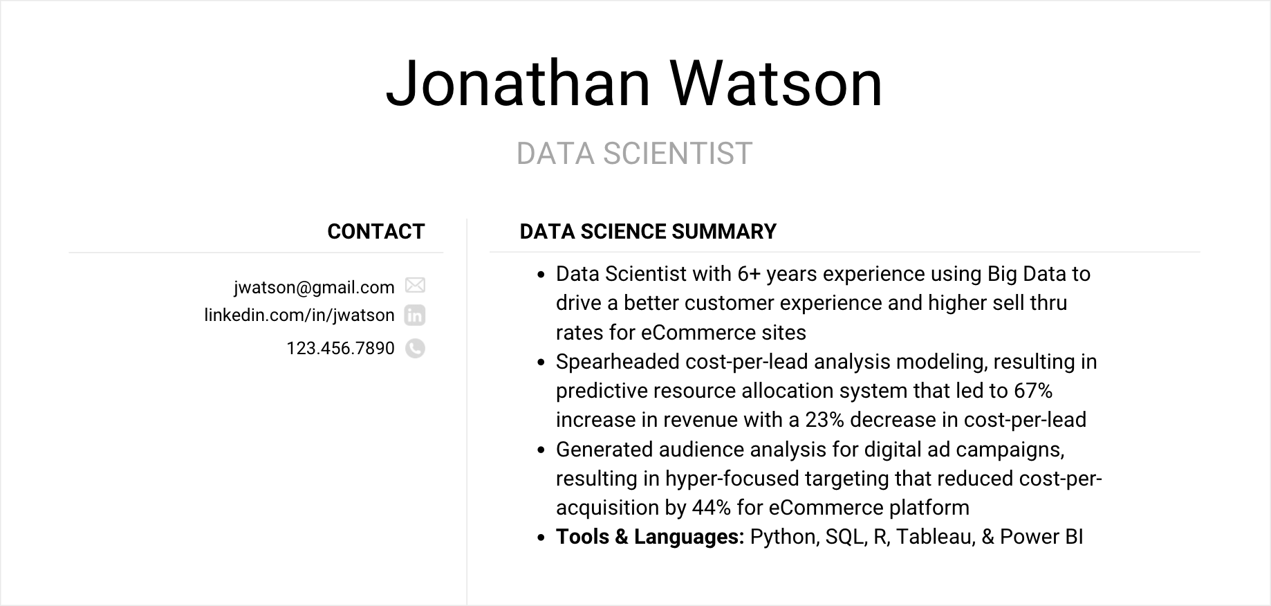 Example of Data Science Resume Summary