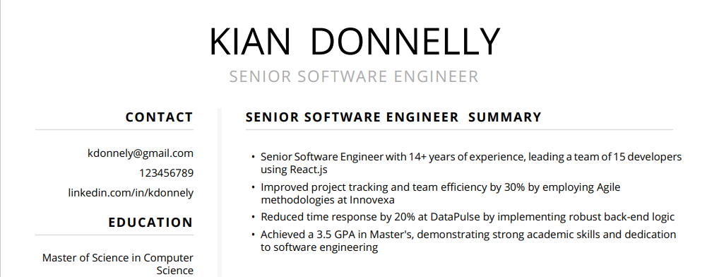 Software Engineer Resume Summary Ex 2