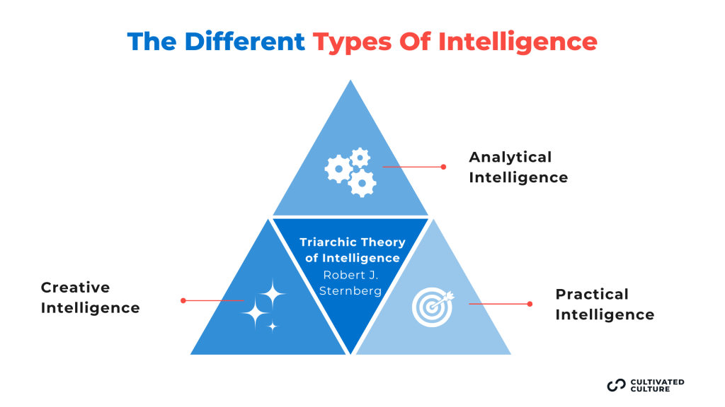 Types Of Intelligence - Analytical, Creative and Practical - Triarchic Theory Of Intelligence