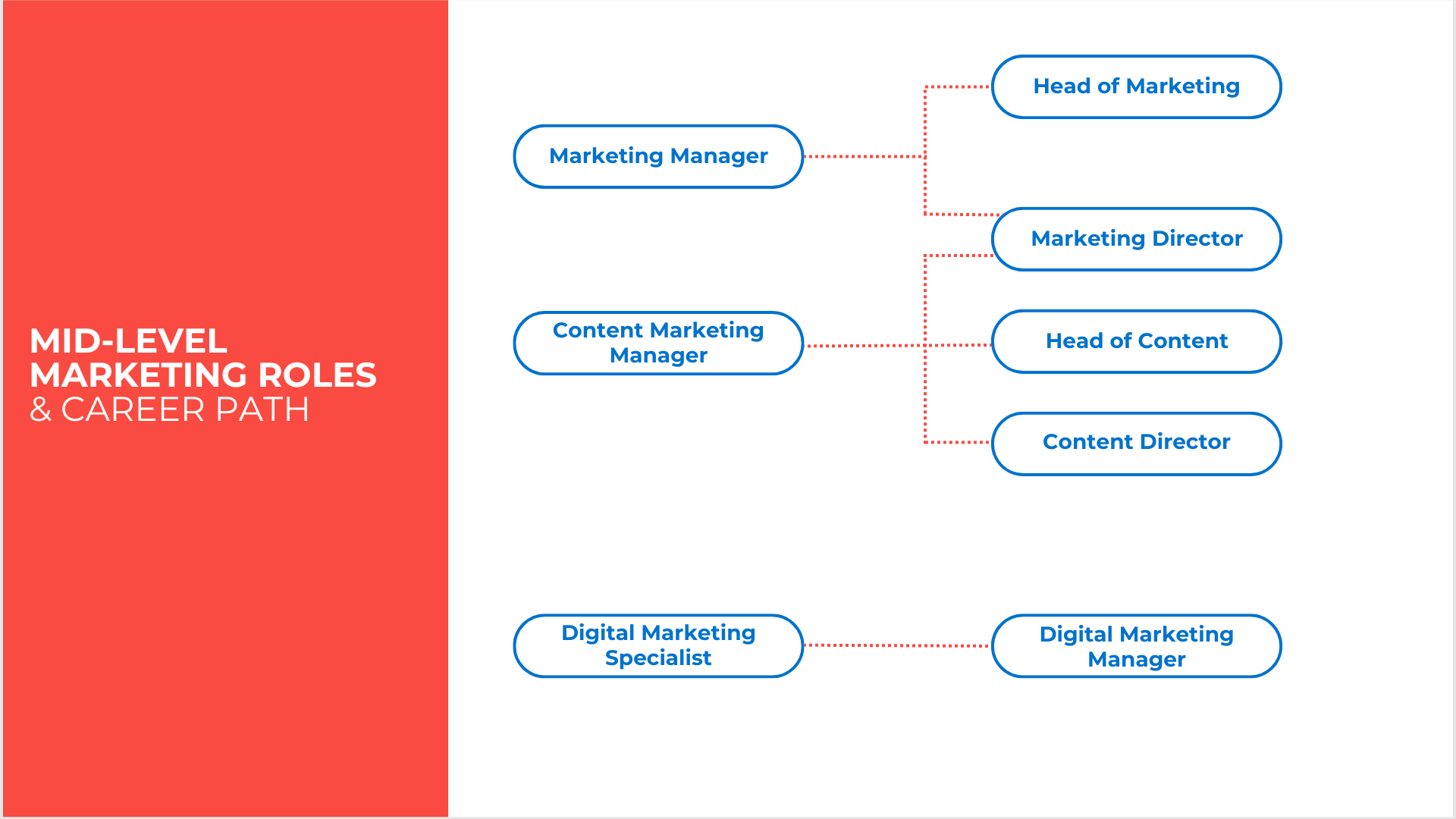 Mid-Level Marketing Roles And Career Path