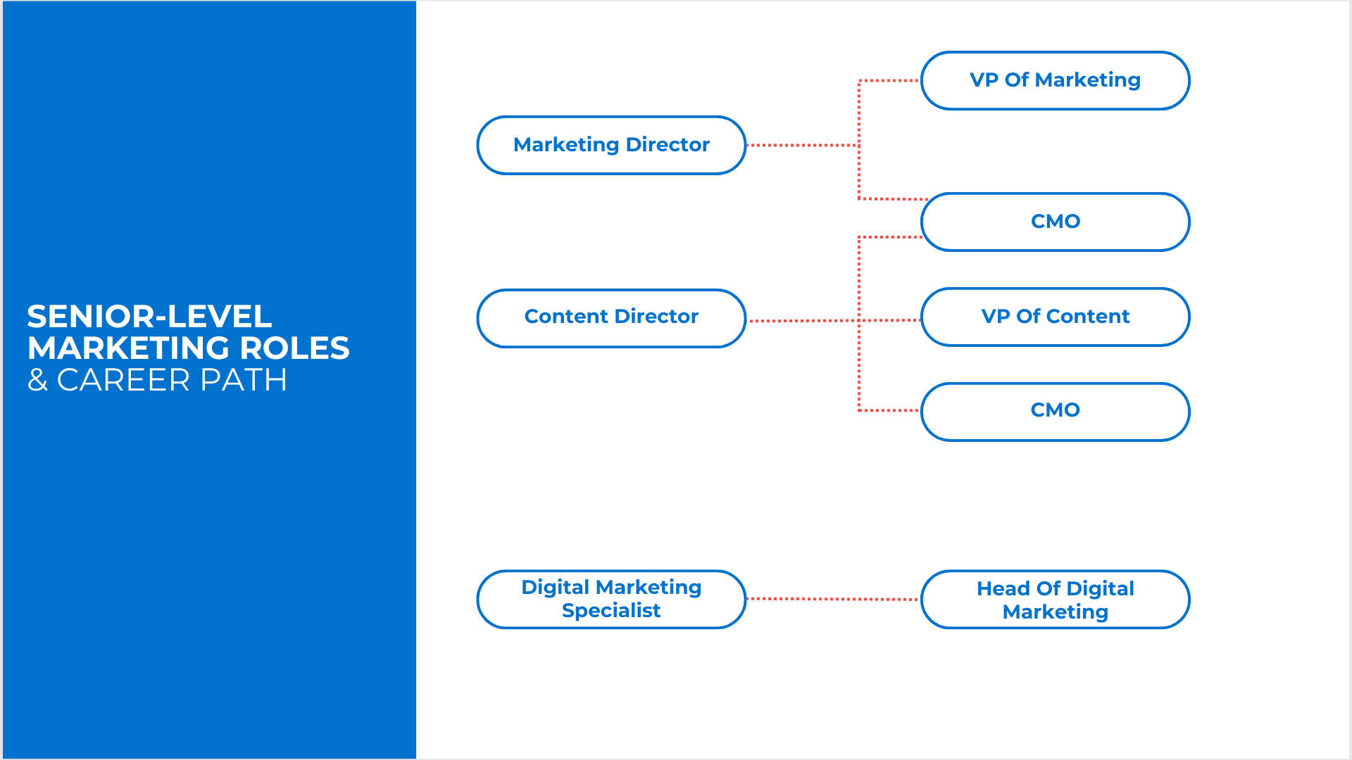 Senior-Level Marketing Roles And Career Path