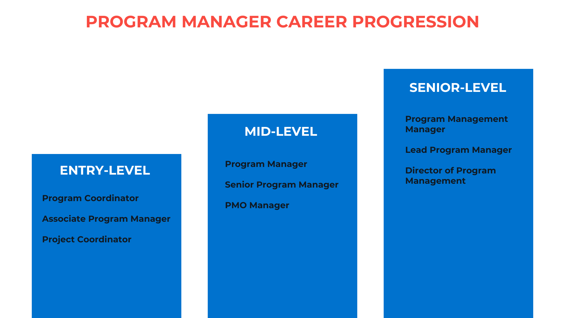 Program Manager Career Progression